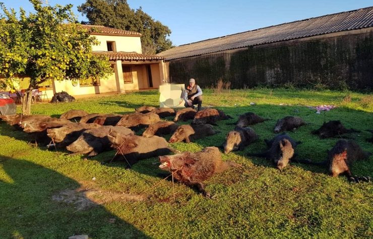 Montería en La Matilla.