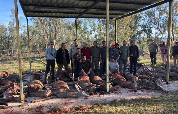 Montería en el Valle