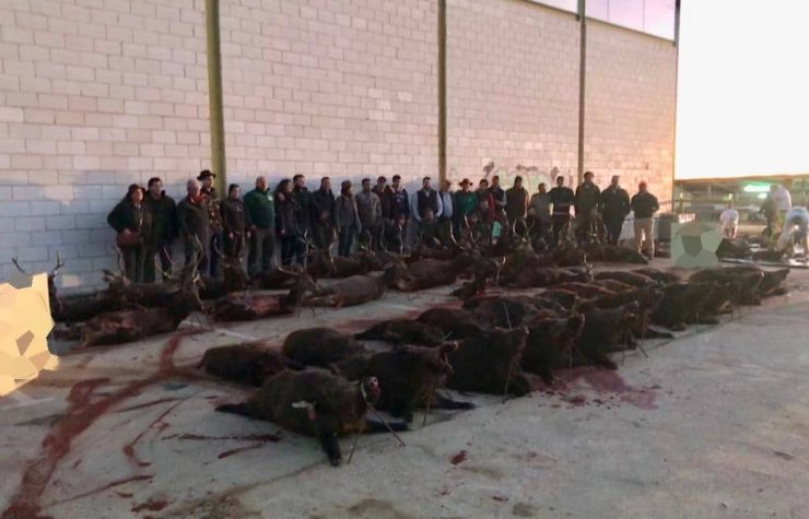 Montería en La Moheda