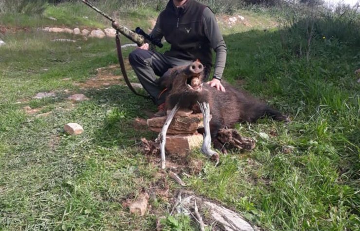 Montería en Las Lagunillas