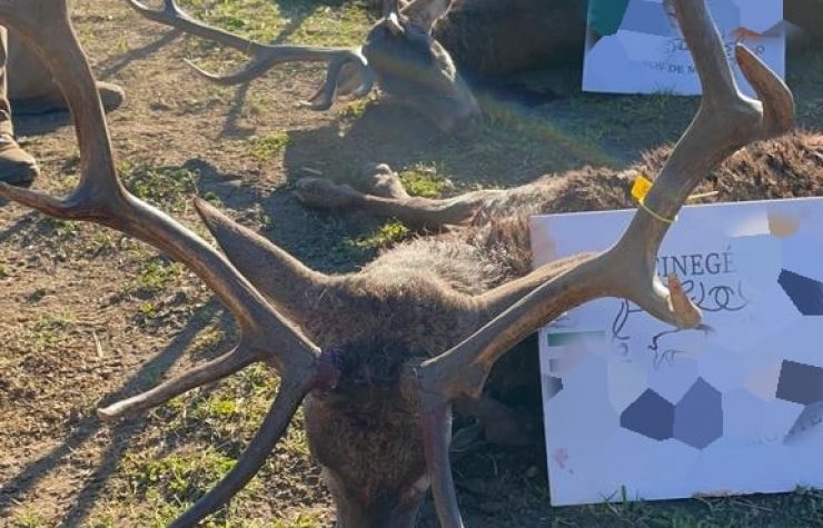 Montería en Las Cabezas de Tiracalzas