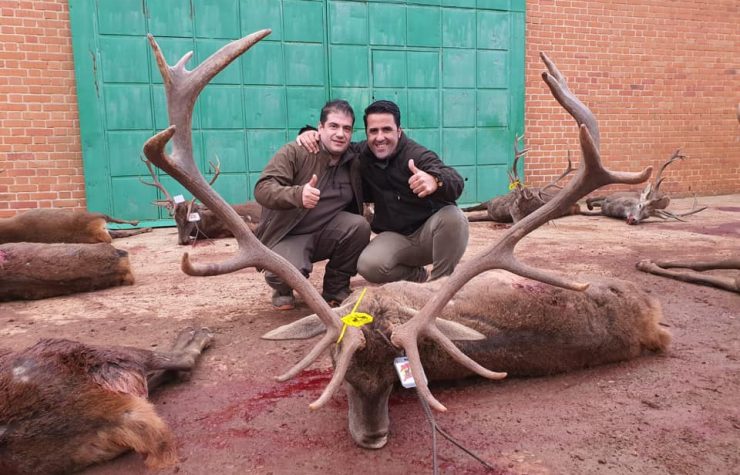 Montería en la Sierra de Casasolilla