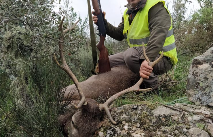 Montería en La Canaleja