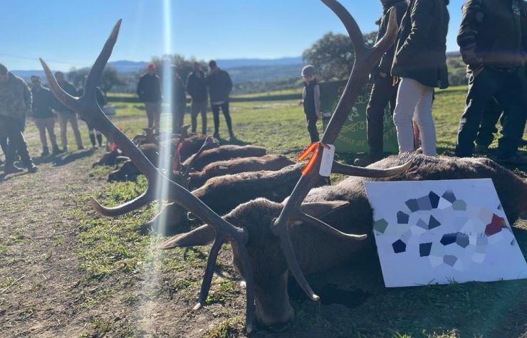 Montería en Tiracalzas