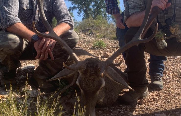 Montería en Los Puntales - Puntal de Abajo