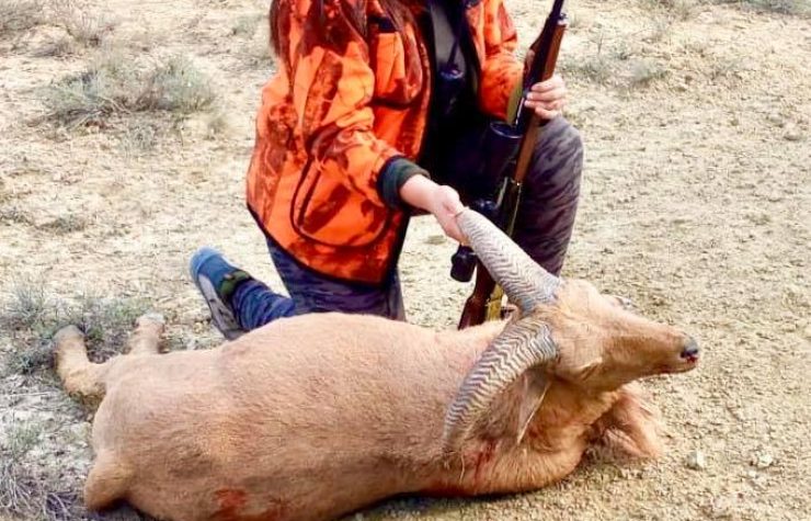Montería en Tello y Sierra del Oso