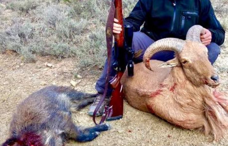 Montería en El Mancheño