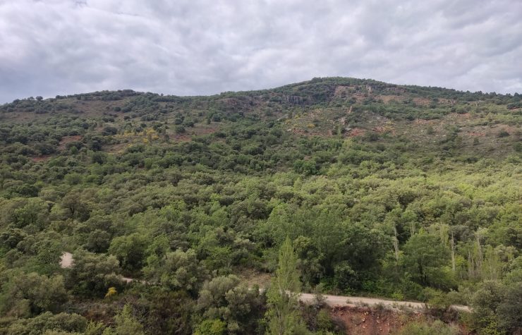 Montería en Dehesa de las Talas