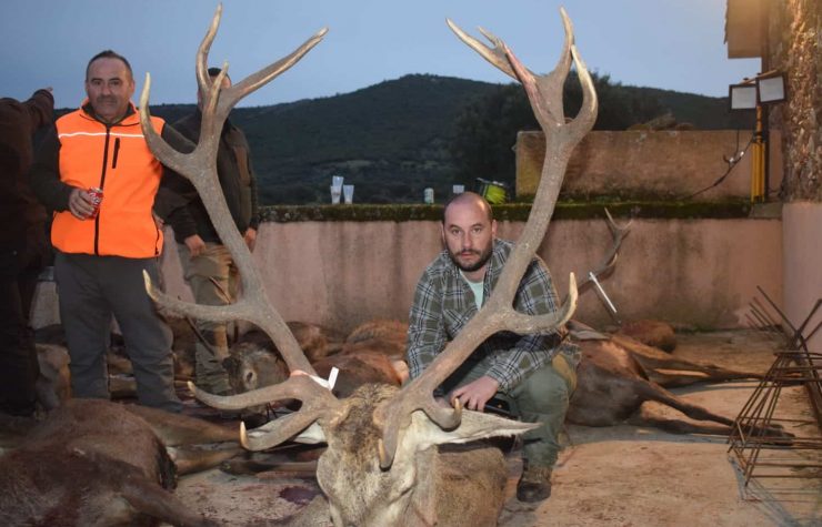 Montería en Vistalegre