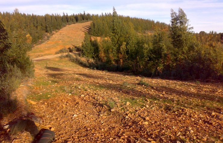 Montería en la Mina.