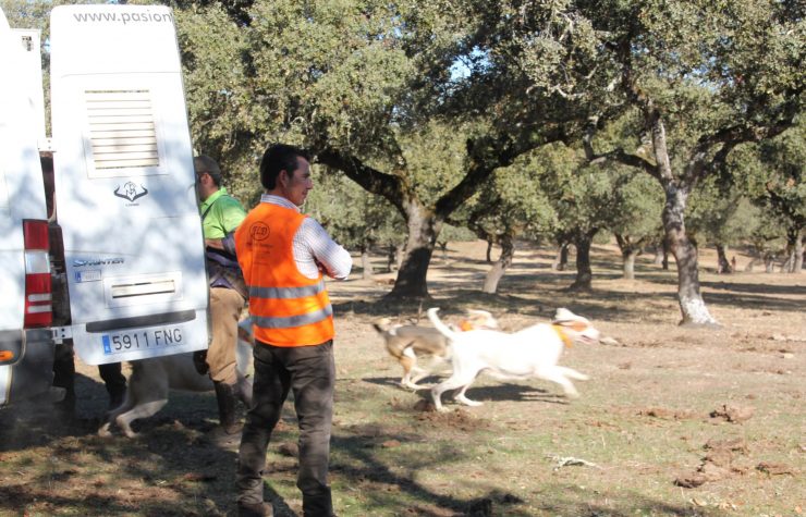 Montería en el Carrasco