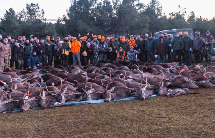 Montería en Los Barrancos