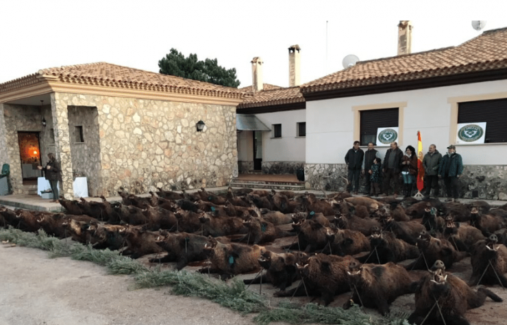 Montería en Santa Quiteria