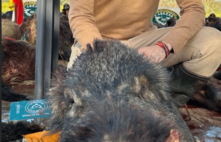 Montería en La Ribera