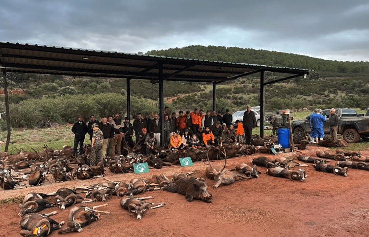 Montería en Piedra Santa