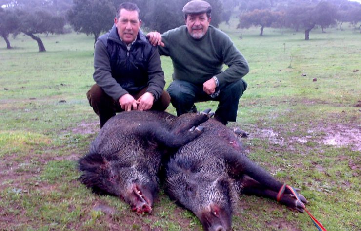 Montería en la Solana