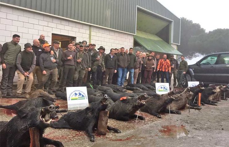 Montería en Cuervo y Porón