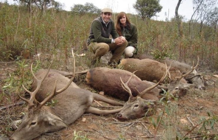 Montería en Matos de Zaldivar II