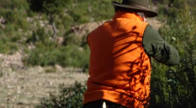 Montería en Los Casares