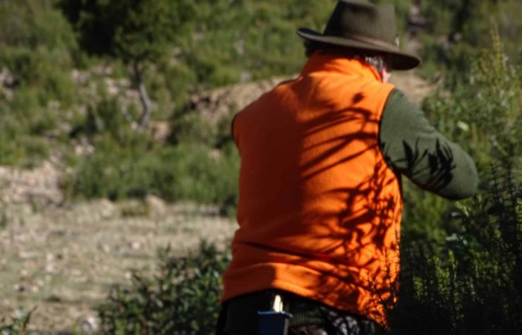 Montería en Los Casares