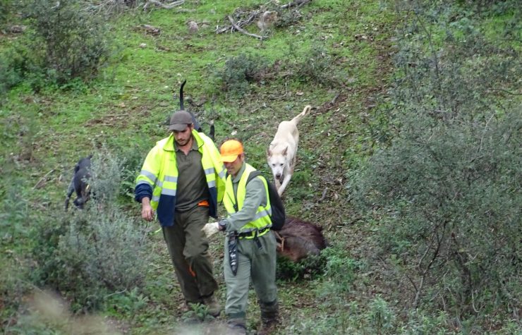 Montería en Cencerrilla
