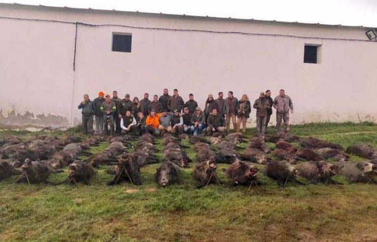 Montería en Dehesa Casillas