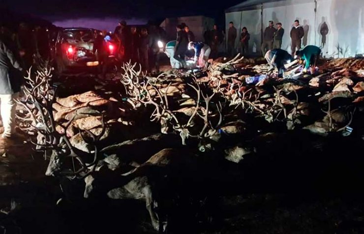 Montería en El Risquillo