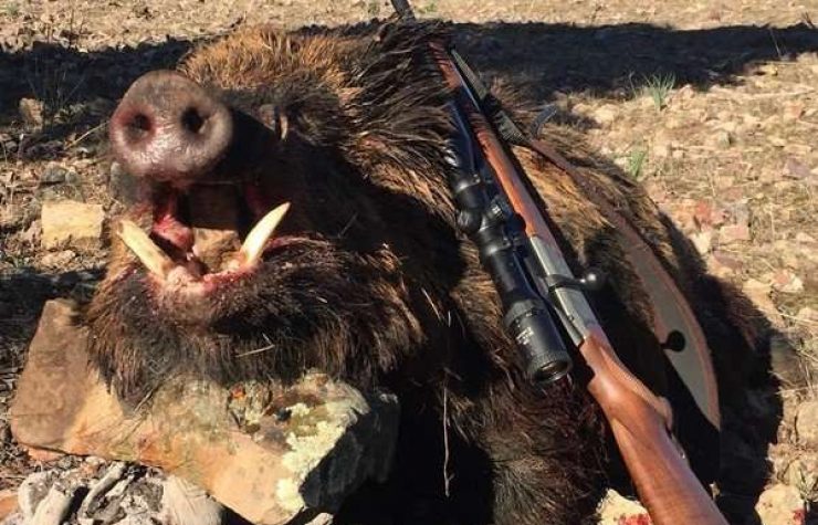 Montería en El Rosal