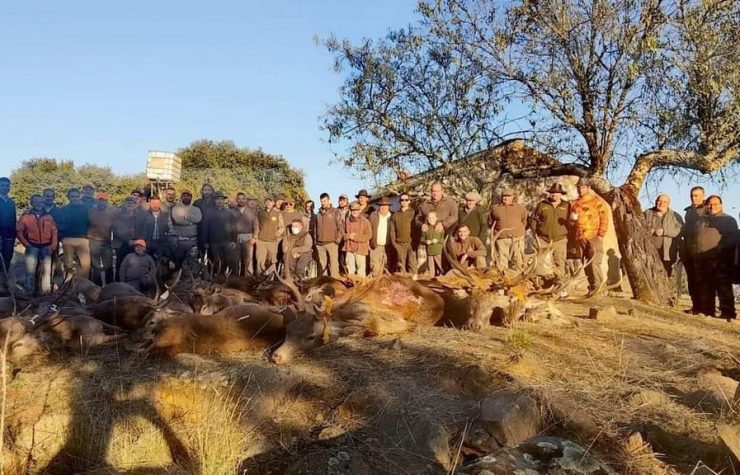 Montería en Solanas del Carmen