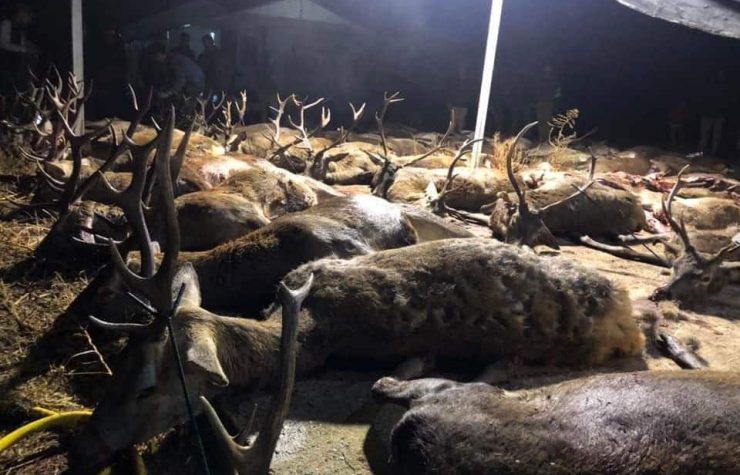 Montería en La Utrera