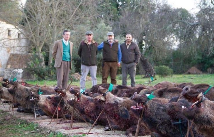 Montería en Cañadillas