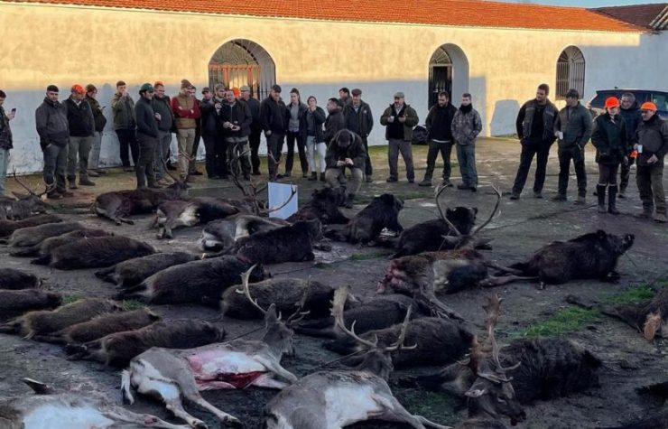 Montería en Fuente Los Novillos