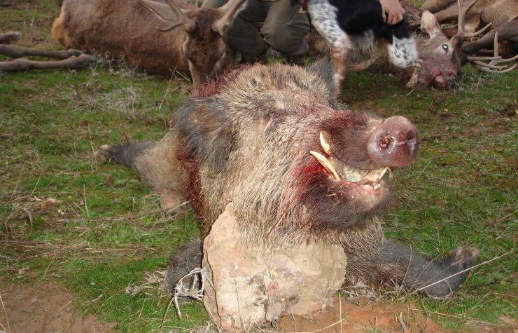 Montería en Lagunas.