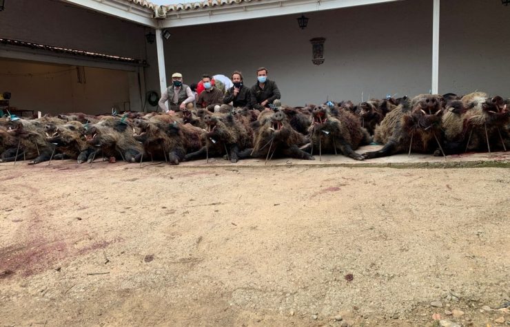 Montería en Encomienda de Mochuelos