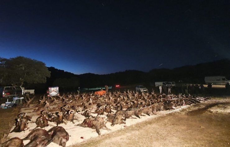 Montería en Jabardillo