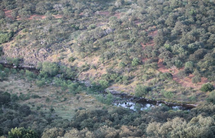 Montería en Malueñillo