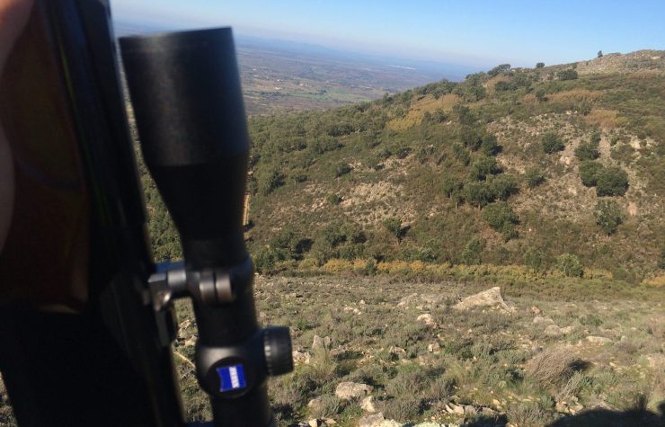 Montería en Los Madroños