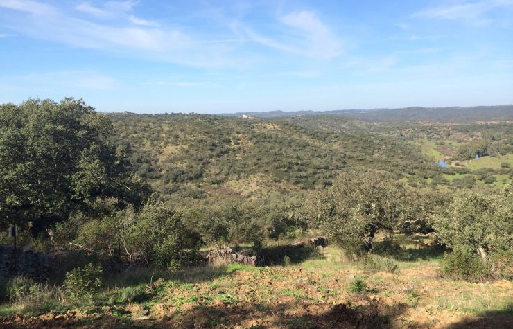 Montería en La Breña