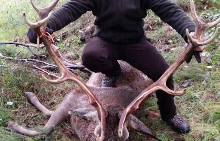 Montería en Lagunas de Ruidera