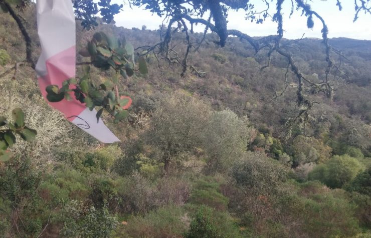 Montería en Hernán Sánchez