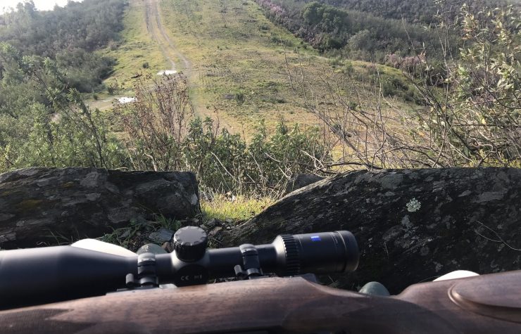 Montería en Los Cotillos.