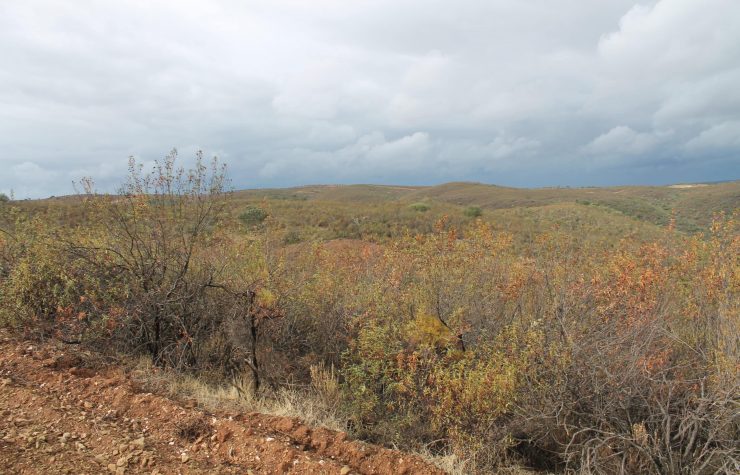 Montería en Peña Horadada II