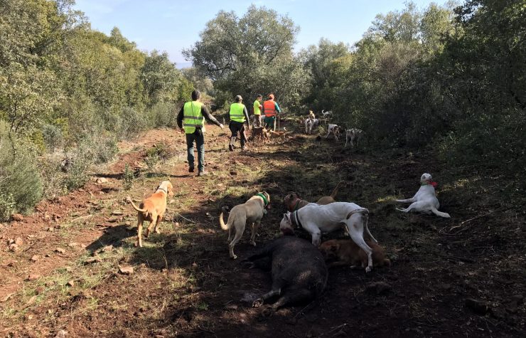 Montería en Los Valles - Torneros