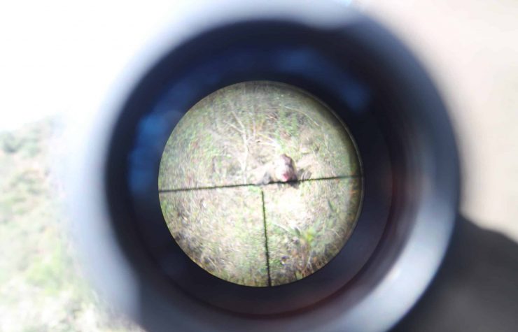 Montería en Morro Centeno