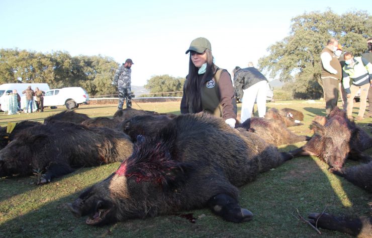 Montería en Valderobles II