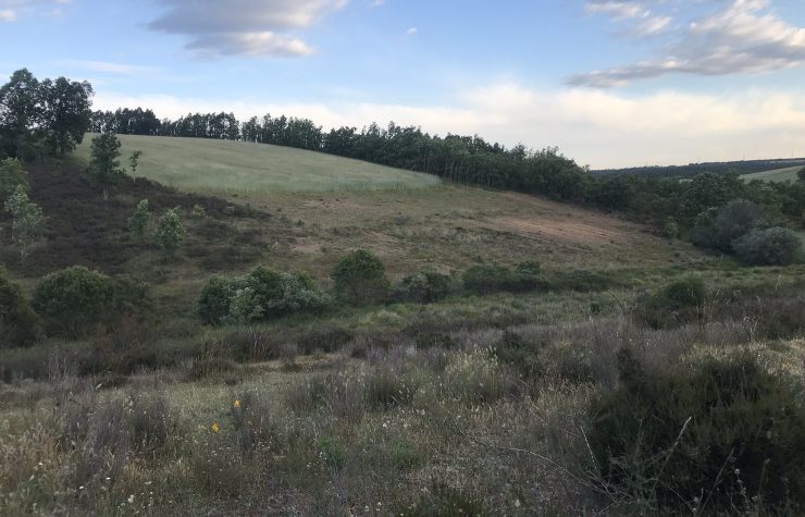 Montería en El Grajo