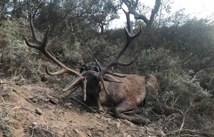 Montería en Las Lomas del Cilleruelo