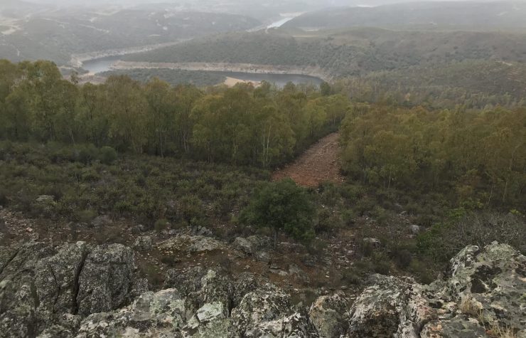 Montería en Monasterio