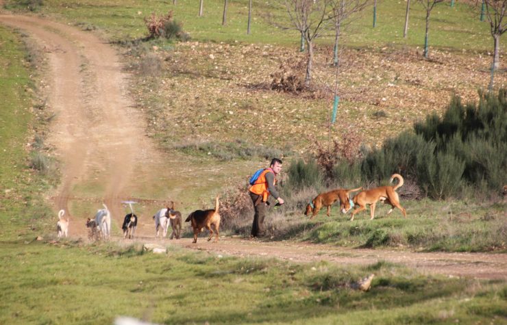 Montería en Navalazarza