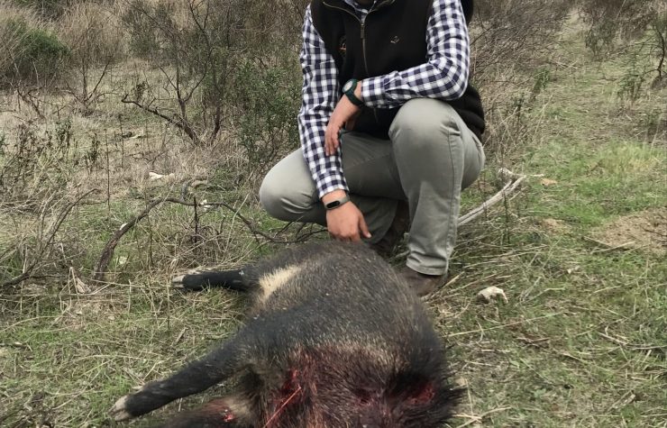 Montería en Pasos Malos - La Mirla